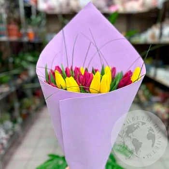 Букет из 25 тюльпанов микс  Букет из 25 тюльпанов микс