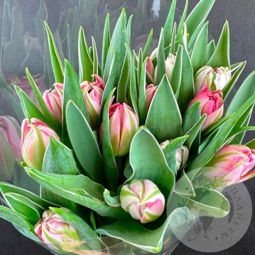 11 розовых пионовидных тюльпанов в магазине Цветы Планеты