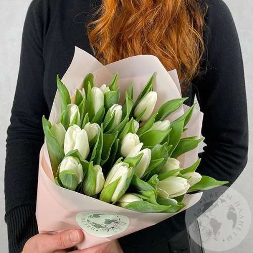 31 тюльпан белый в магазине Цветы Планеты