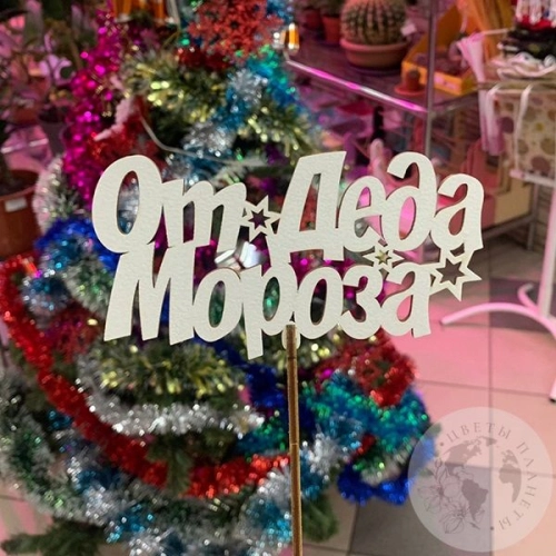 Топпер для цветов "От деда Мороза"