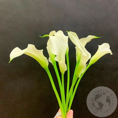 Каллы белые 7 шт.