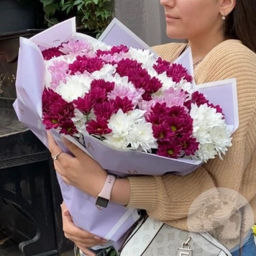 Букет из 31 бордовой, розовой, белой кустовой хризантемы в магазине Цветы Планеты Букет из 31 бордовой, розовой, белой кустовой хризантемы в магазине Цветы Планеты