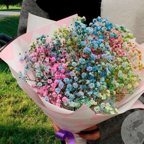 Букет из гипсофил крашенных в магазине Цветы Планеты