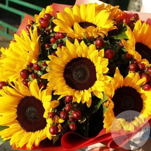 Букет подсолнухов "Солнечный" в магазине Цветы Планеты
