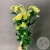 3 Сантини бело-желтых 3 Сантини бело-желтых в магазине Цветы Планеты