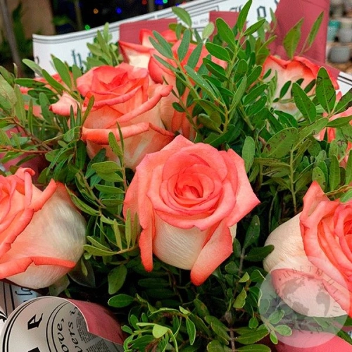 Букет из роз и фисташки "Доброе утро" в магазине Цветы Планеты