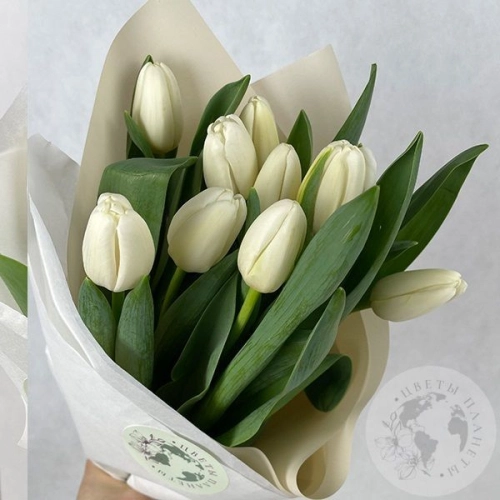 15 тюльпанов белых в магазине Цветы Планеты