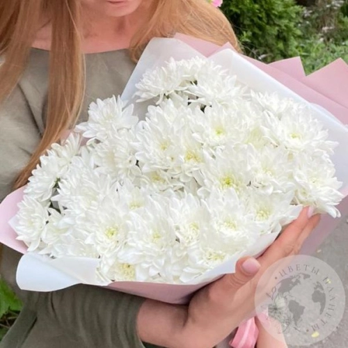 15 белых кустовых хризантем