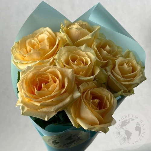 7 роз кремовых 60 см. 7 роз кремовых 60 см. в магазине Цветы Планеты