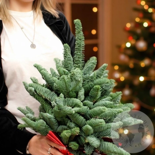 Новогодний букет из нобилиса "Елка" в магазине Цветы Планеты