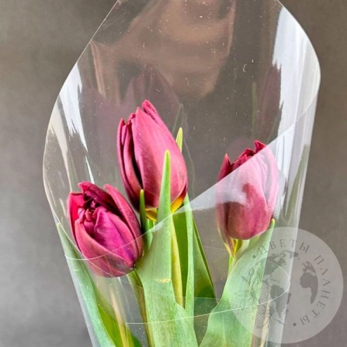 3 бордовых пионовидных тюльпана в магазине Цветы Планеты