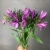 7 Альстромерий фиолетовых в магазине Цветы Планеты 7 Альстромерий фиолетовых