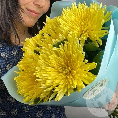 7 хризантем желтых