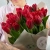 30 тюльпанов красных в магазине Цветы Планеты