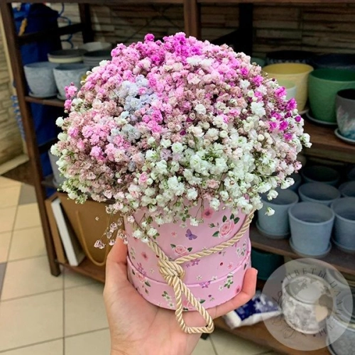 Композиция из розовой гипсофилы в коробке в магазине Цветы Планеты