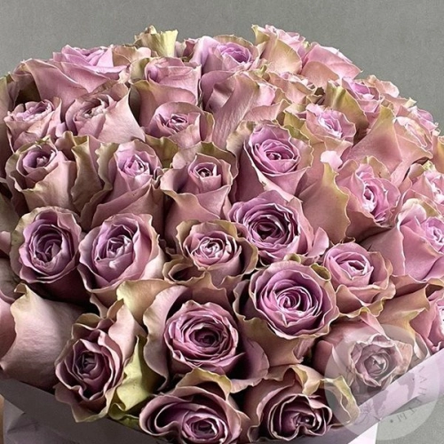 Букет из 51 розы в магазине Цветы Планеты Букет из 51 розы в магазине Цветы Планеты