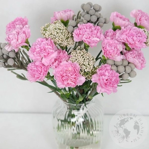 Букет из гвоздик "Настроение"