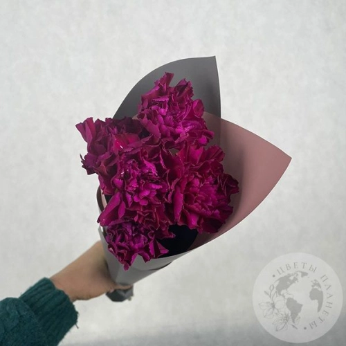 5 гвоздик бордовых в магазине Цветы Планеты