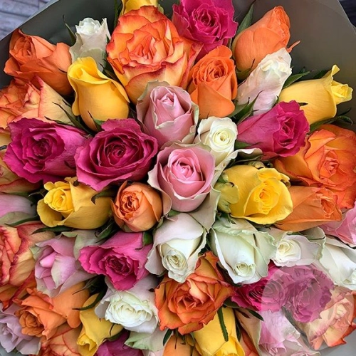 Букет 51 роза микс 40 см. в магазине Цветы Планеты