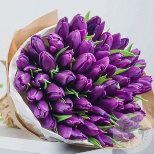 101 Тюльпан MIX 101 Тюльпан MIX в магазине Цветы Планеты