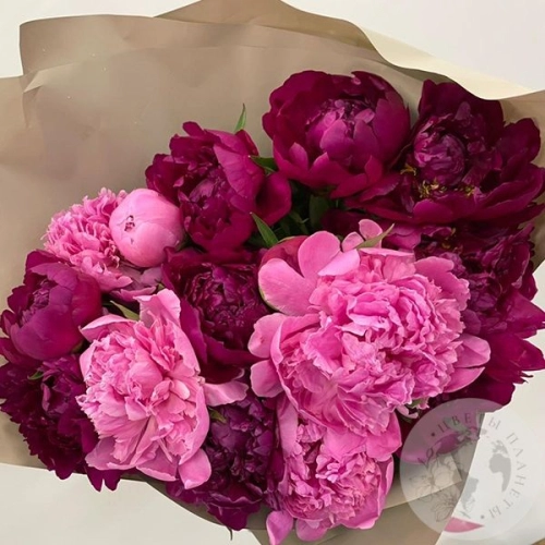 15 розово-бордовых пионов в магазине Цветы Планеты