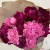 15 розово-бордовых пионов 15 розово-бордовых пионов в магазине Цветы Планеты