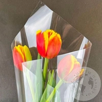 3 красно-желтых пионовидных тюльпана 3 красно-желтых пионовидных тюльпана