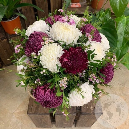 Композиция из хризантем в ящике в магазине Цветы Планеты