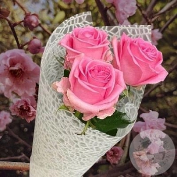 3 розы розовых 50 см.  3 розы розовых 50 см.