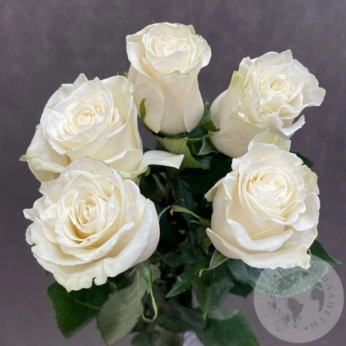5 роз белых 70 см. в магазине Цветы Планеты
