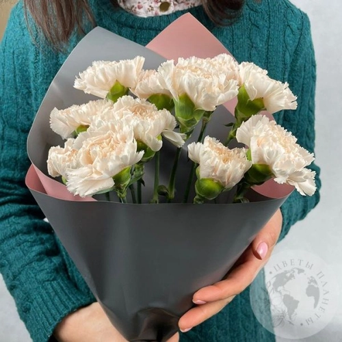 13 гвоздики персиковых