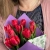 9 тюльпанов красных в магазине Цветы Планеты