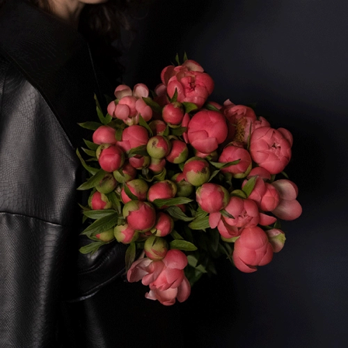 47 пионов розовых 47 пионов розовых в магазине Цветы Планеты