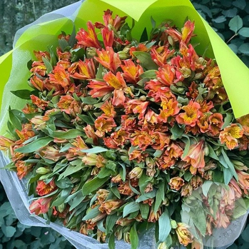 Букет из 51 альстромерии оранжевой