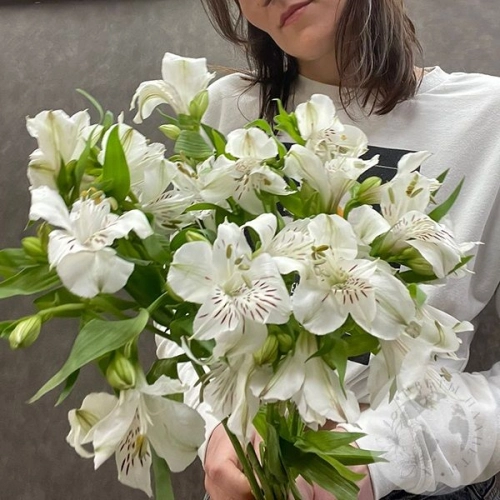 7 Альстромерий белых