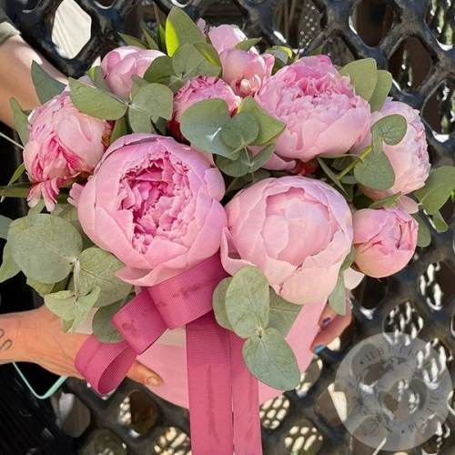 21 розовый пион Сара Бернар в шляпной коробке в магазине Цветы Планеты