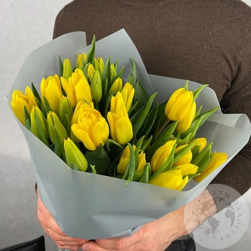 15 тюльпанов желтых в магазине Цветы Планеты