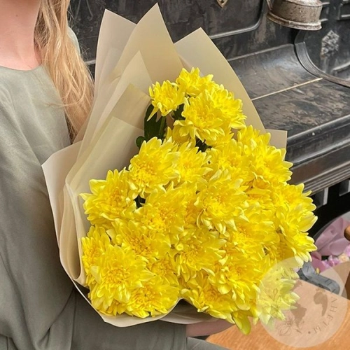 7 желтых кустовых хризантем