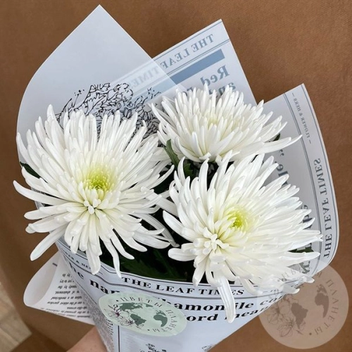 3 хризантемы белых в магазине Цветы Планеты 3 хризантемы белых