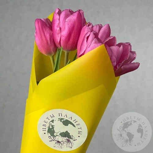 5 тюльпанов бордовых в магазине Цветы Планеты