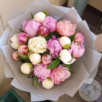 Букет 21 пион