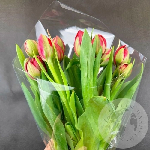 7 красных пионовидных тюльпанов в магазине Цветы Планеты