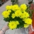 Хризантема комнатная желтая