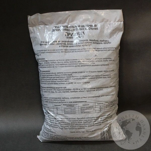 Грунт Примула в магазине Цветы Планеты