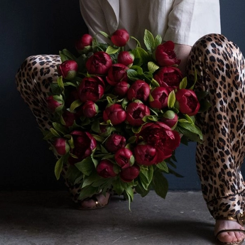 29 пионов бордовых в магазине Цветы Планеты