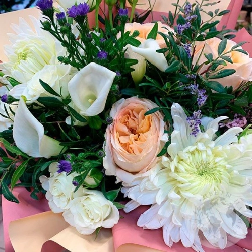 Букет из роз и хризантемы "Комплимент" в магазине Цветы Планеты Букет из роз и хризантемы "Комплимент"