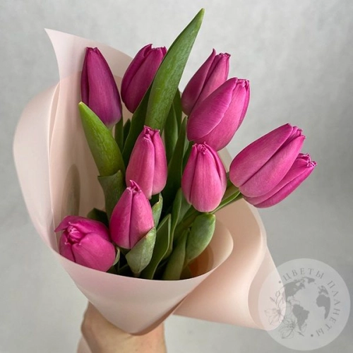9 тюльпанов бордовых в магазине Цветы Планеты