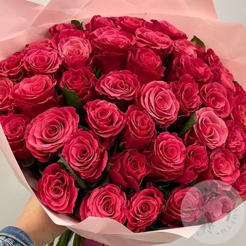 51 розовая роза 40 см. в магазине Цветы Планеты