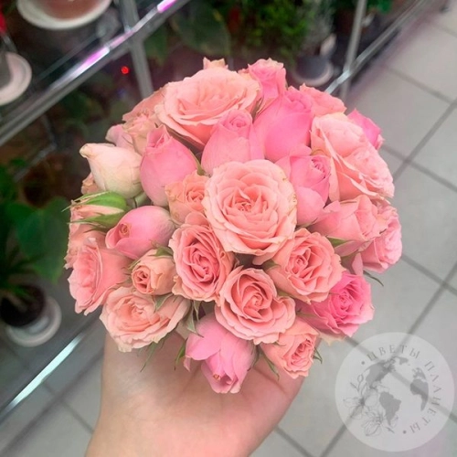 Композиция из роз в керамическом кашпо "Малышка" в магазине Цветы Планеты