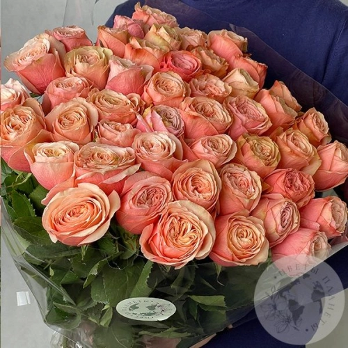 41 роза коралловая 41 шт. 70 см в магазине Цветы Планеты